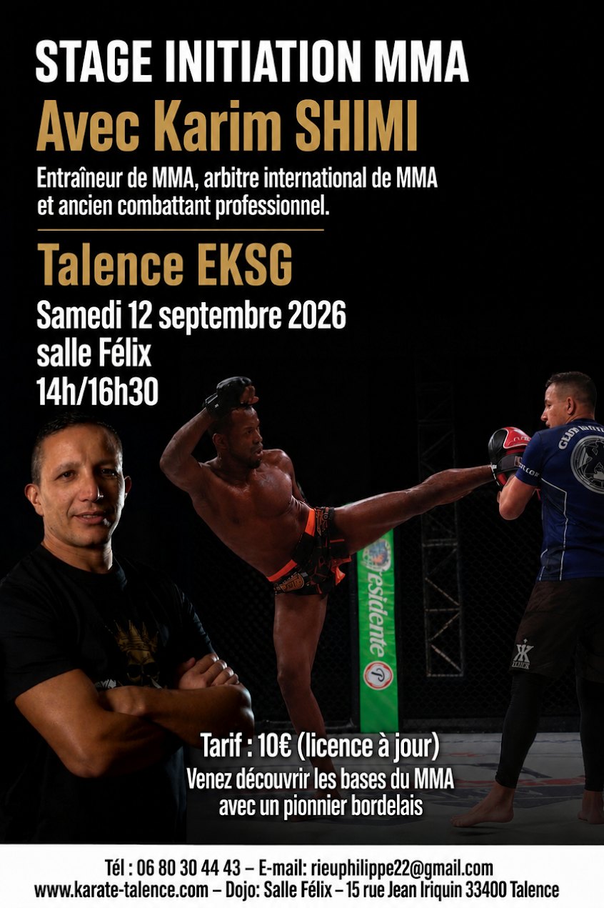 Stage d'initiation MMA avec Karim Shimi