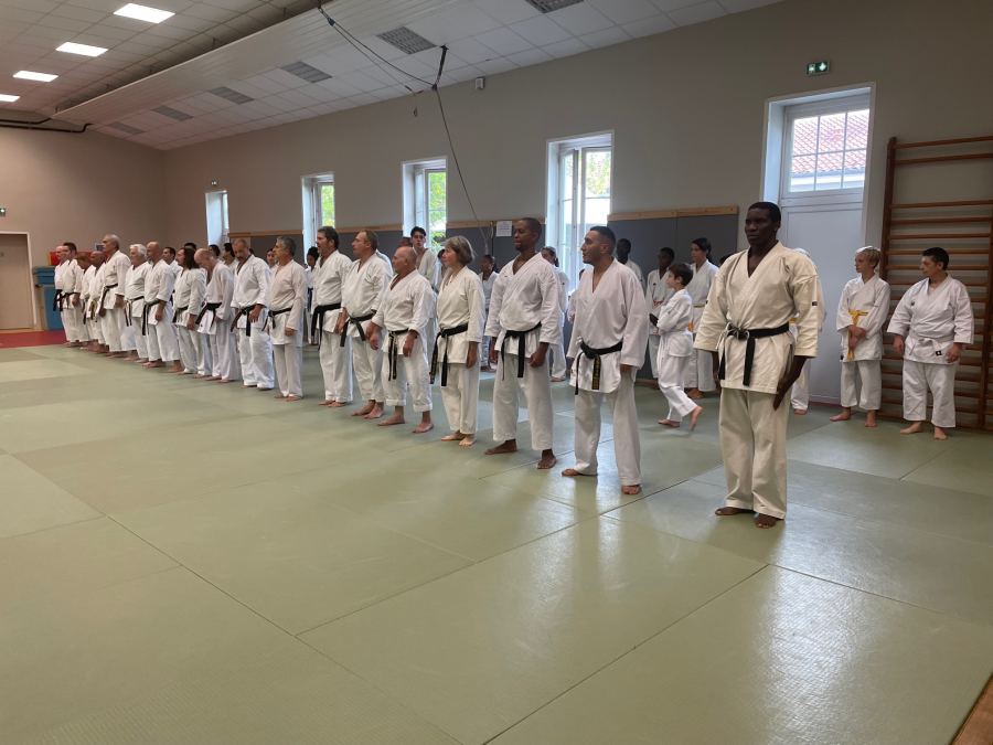 Stages et experts