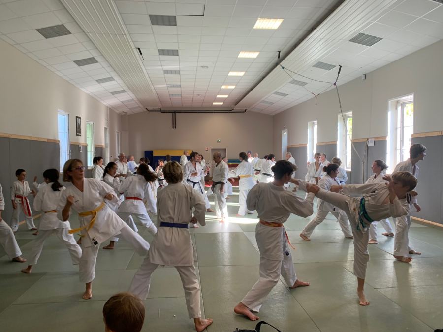 Au dojo